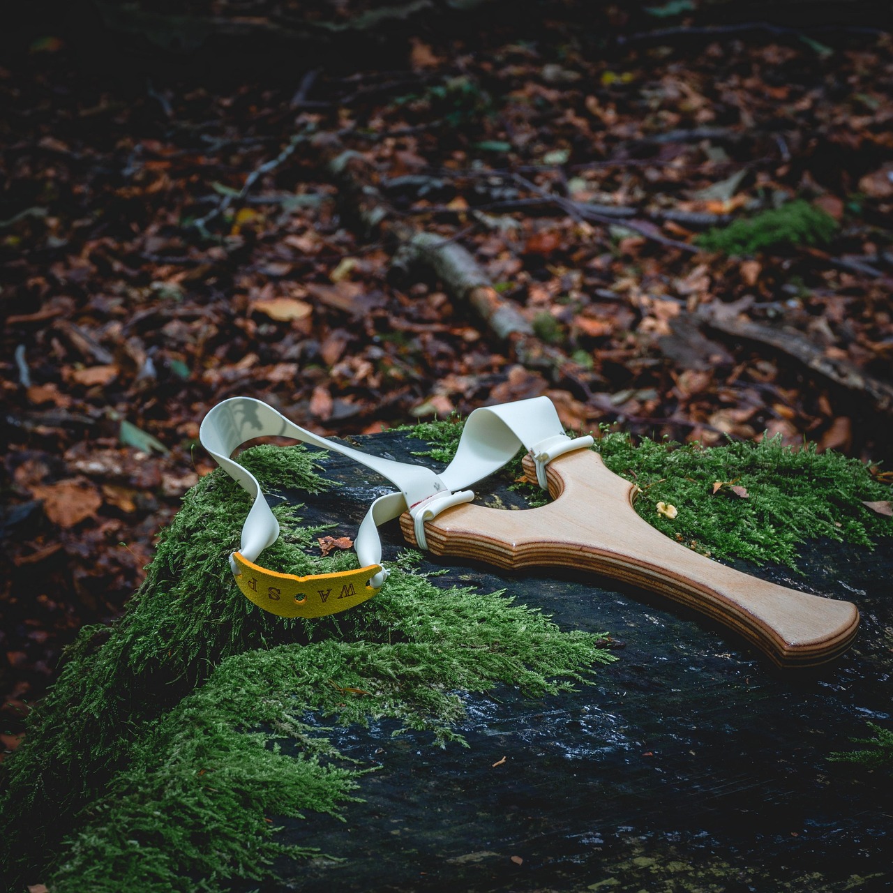 slingshot, forest, catapult, sport, skill, aiming, nature, precision